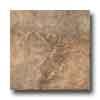 Marazzi Forest Impressions 18 X 18 Noce Tile & Stone