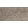 Marazzi Percorsi Ntural 12 X2 4 Beige Nat Tile & Stone