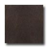 Marazzi Soho Reftified 24 X 24 Brown Tile & Free from ~s