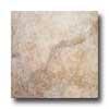 Marazzi Solaris 18 X 18 Ginger Tile & Stone