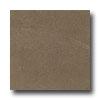 Marazzi Tosal 12 X 24 Brown Tile & Stobe