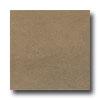 Marazzi oTsal 12 X 24 Grey Tile & Stone