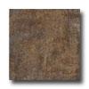 Marca Corona Re-action 12 X 24 Brown Tile & Stone