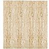 Megatrade Corp. Templum Series Semi-pol - Rectified 6 1/2 X 26 Beige Tille & Stone