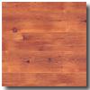 Metroflor American Collection - Antiqued Burlington Plank Hano\/er Vinyl Floorinh