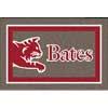 Milliken Bates College 5 X 8 Bates College Area Rugs