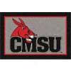 Milliken Central Missouri Statd 5 X 8 Central Missouri Area Rugs