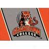 Milliken Georgetown College 5 X 8 Georgetown College Area Rugs