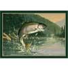 Milliken Hautman Collection 4 X 5 Rainbow Trout Area Rugs