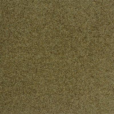 Milliken Legato Embrace Tea Time Carpet Tiles