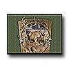 Milliken Realtree Collection 3 X 4 Team Realtree Bucks Viii Area Rugs