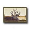 Milliken Realtree Collection 3 X  4Team Realtree Bucks Vii Area Rugs