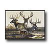 Milliken Realtree Collection 5 X 8 Team Realtree Bucks Vi Area Rugs