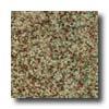 Milliken Tesserae Essentials Earth Carpet Tiles