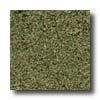 Milliken Tesserae Essentials Bayleaf Carpet Tiles