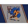 Milliken University Of Delaware 4 X 5 U Delaware Area Rugs