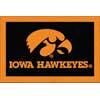 Milliken University Of Iowa 3 X 4 University Iowa Area Rugs