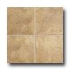 Mohawk Artesia 12 X 12 Umber Tile & Stone