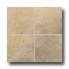 Mohawk Artesiz 6 X 6 Sienna Tile & Stone