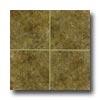 Mohawk Bella Rocca 6 X 6 Tuscan Brown Tile & Stone