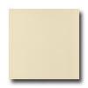 Mohawk Colorations 4 X 4 lGss Ivory Lace Tile & Stone