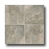 Mohawk Paradiso 13 X 13 Grecian Tile & Stone