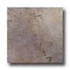 Mohawk Quarty Stone 12 X 12 Slate Tile & Stone