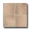 Mohawk San Rocco 13 X 13 Bisque Tile & Stone