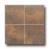 Mohawk San Rocco 6 X 6 Sienna Tile & Stone