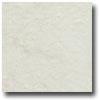 MohawkT orrenta 12 X 12 White Tile & Stone