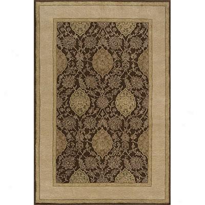 Momnei, Inc. Concord 10 X 14 Brown Area Rugs