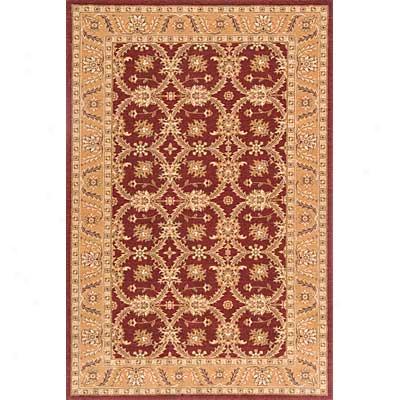 Momeni, Inc. Ladiq 10 X 13 Burgundy Superficial contents Rugs