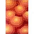 Momeni, Inc. New Wave 2 X 3 New Wave Orange Area Rugs