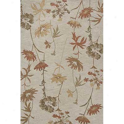 Momeni, Inc. Transitions 5 X 8 Transitions Brown Area Rugs