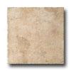 Monoci6ec Ceramica Graal 13 X 13 Sinclair Tile & Stone