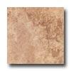 Nafco Aged Marble 12 X 12 Tumble Weed Vinyl Flooring