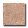 Nafco Java 12 X 12 Mica Vinyl Floorng