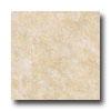 Nafco Permastone Biscayne Moonstruck Vinyl Flooring