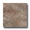 Nafco Permastone Modjlar Natural Slate Flint Vinyl Flooring