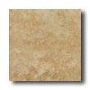 New World Houston 13 X 13 Medium Beige Tile & Stone