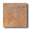 New World Texas 13 X 13 Brown Tile & Stone