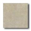 New Worldd Texas 6 X 6 White Tile & Stone