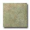 Orchid Ceramics Etch 12 X 12 Olivia Tile & Stone