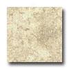 Orchid Ceramkcs Sculpt 6 X 6 Treviso Crema Tile & Stone