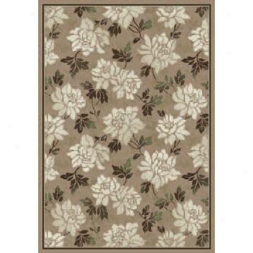 Orian Rugs Patio 5 X 8 Donovan Nutty Area Rugs