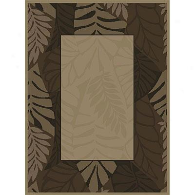 Orian Rugs Patioo 7 X 10 Cancun Fern Border Nutty Area Rugs