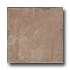 Pastorelli Sandsttone 12 X 18 Anrochte Tile & Stone