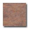 Pastorelli Sandstone 12 X 12 Vila Velha Tile & Stone