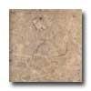 Portobello Atlantica 20 X 20 Noche Tile & Stone