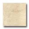 Portobello Baschi 12 X 12 Crema Tile & Stone